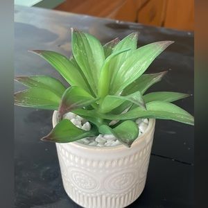 Faux plants